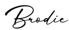 单词Brodie书写