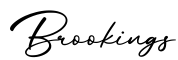 单词Brookings书写
