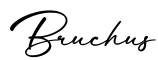 单词Bruchus书写
