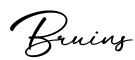 单词Bruins书写
