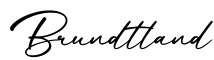 单词Brundtland书写