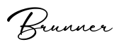 单词Brunner书写