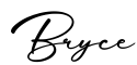 单词Bryce书写