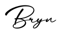单词Bryn书写