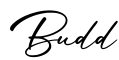单词Budd书写