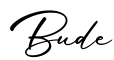 单词Bude书写