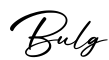 单词Bulg书写