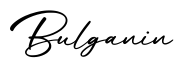 单词Bulganin书写