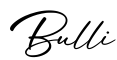 单词Bulli书写