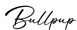 单词Bullpup书写