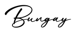 单词Bungay书写