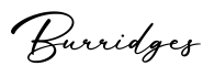 单词Burridges书写