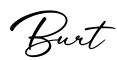 单词Burt书写
