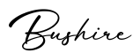 单词Bushire书写