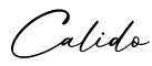 单词Calido书写