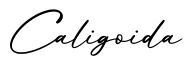 单词Caligoida书写