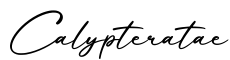 单词Calypteratae书写