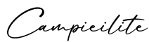 单词Campieilite书写