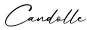 单词Candolle书写