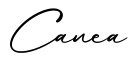 单词Canea书写