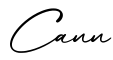 单词Cann书写