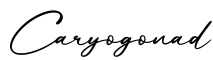 单词Caryogonad书写