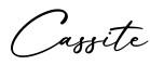 单词Cassite书写