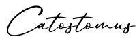 单词Catostomus书写