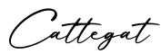 单词Cattegat书写