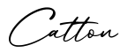 单词Catton书写