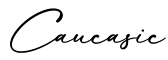 单词Caucasic书写