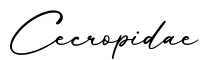 单词Cecropidae书写