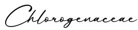 单词Chlorogenaceae书写