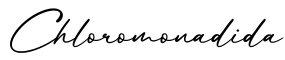 单词Chloromonadida书写
