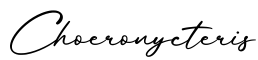 单词Choeronycteris书写