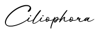 单词Ciliophora书写