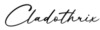 单词Cladothrix书写