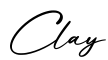 单词Clay书写