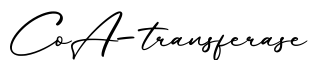单词CoA-transferase书写