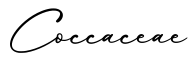 单词Coccaceae书写