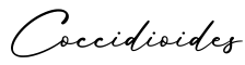 单词Coccidioides书写