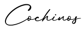 单词Cochinos书写