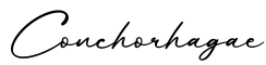 单词Conchorhagae书写