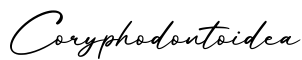 单词Coryphodontoidea书写