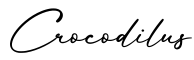 单词Crocodilus书写
