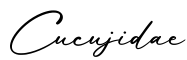 单词Cucujidae书写