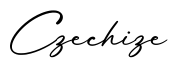 单词Czechize书写