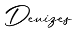 单词Devizes书写