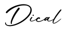 单词Dical书写