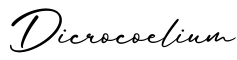 单词Dicrocoelium书写